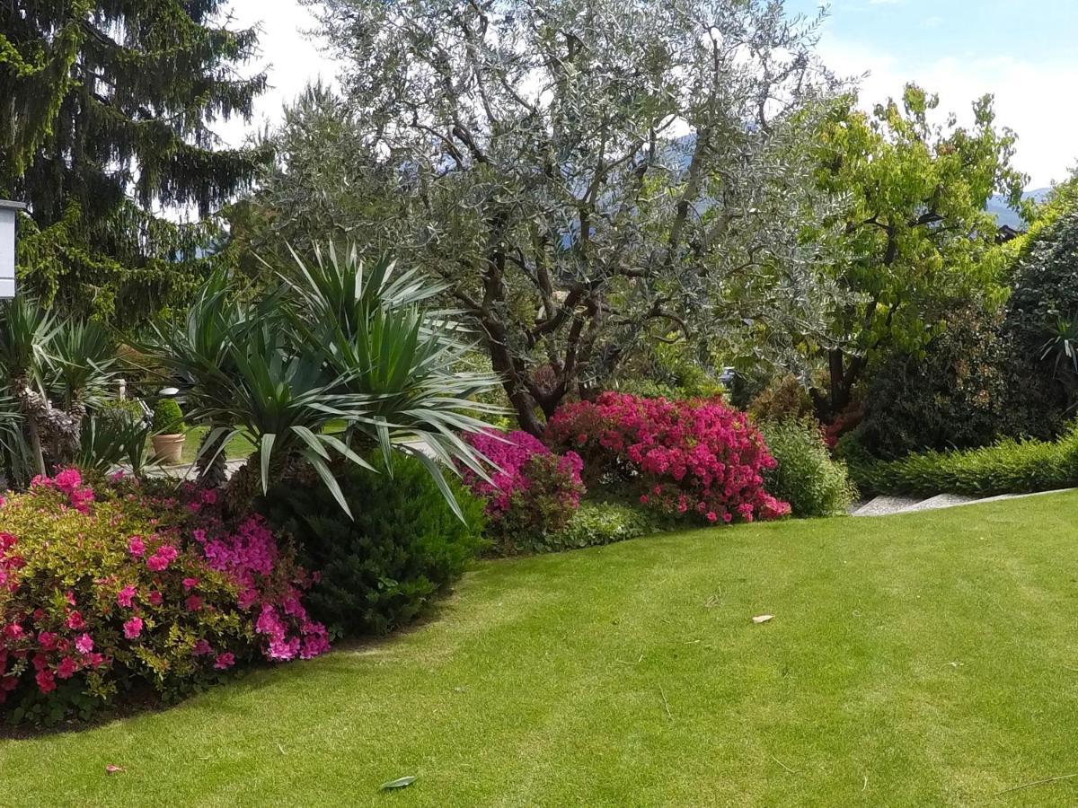 Abies Lago Di Como Донґо Екстер'єр фото