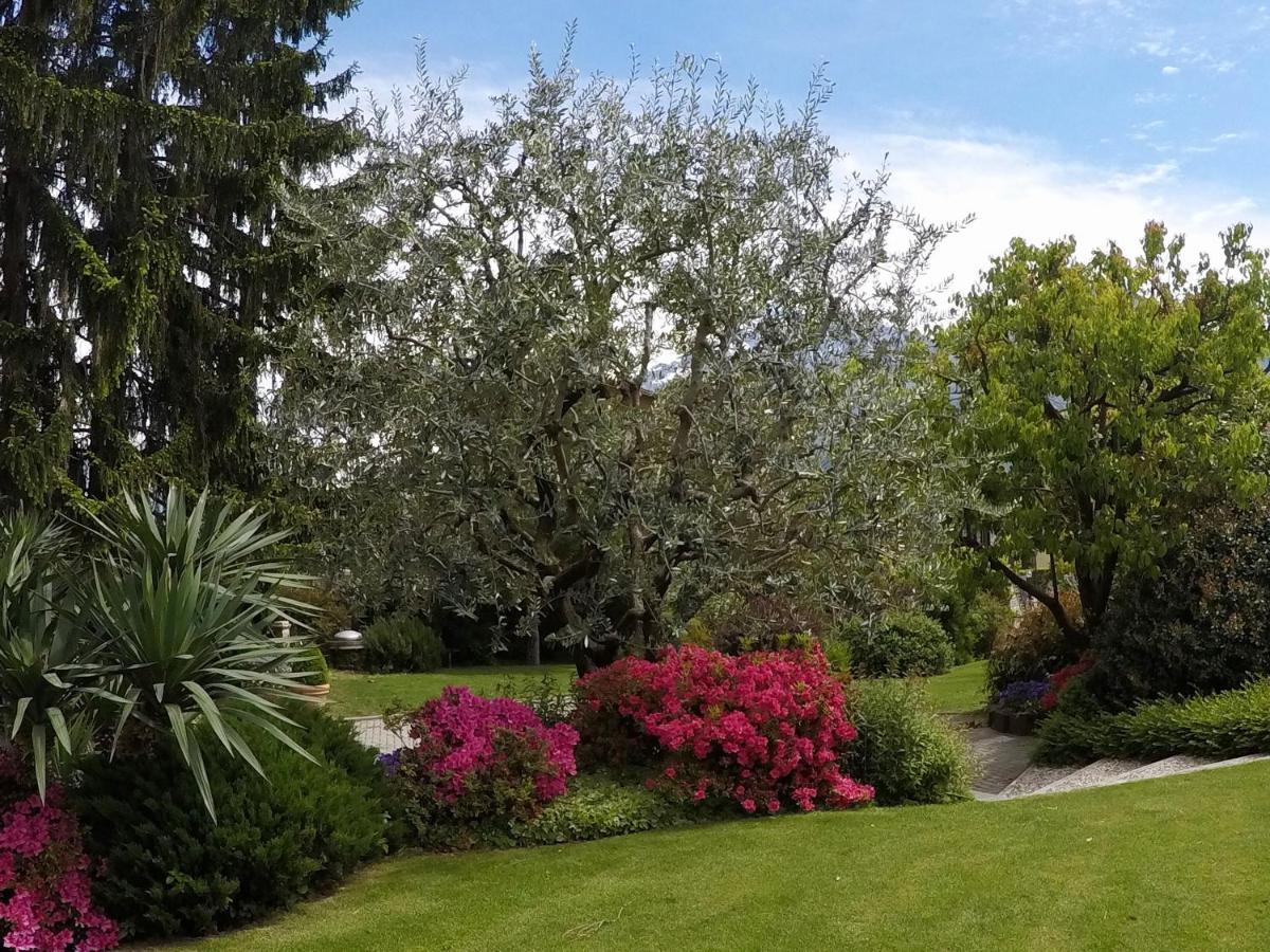 Abies Lago Di Como Донґо Екстер'єр фото